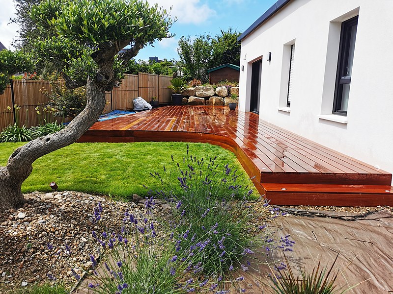 Terrasse cumaru aux arrondis soignés ouvrant le séjour sur un jardin breton avec olivier : terrasse bois sur mesure en sud-Finistère.